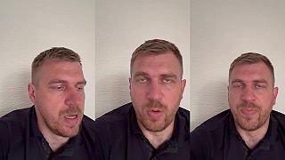 Média šíria absurdné hoaxy o medveďoch. Polobláznov označujú ako odborníkov
