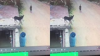 Pesa na chvíľu zabudol, že je na streche (PLACHTIL)