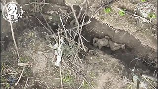 Samodenacifikácia #03