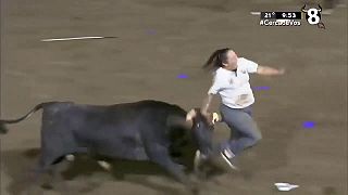 Aj táto buchta sa chcela nechať ponaháňať býkom, nakoniec ukázala aj tangáče!