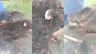 Okupant pochovaný zaživa