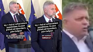 Tibor Gašpar o kultúre v politike