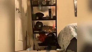 video Pozerajte na mňa, som SPIDERMAN!