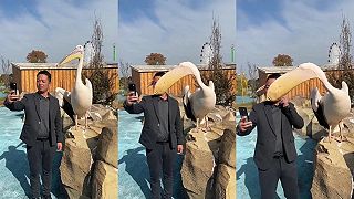 video Teraz sa odfoť, to bude naozaj dobrá fotka!