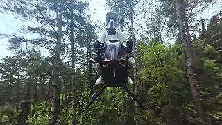 Volonaut tentokrát v lese v štýle Hviezdnych vojen