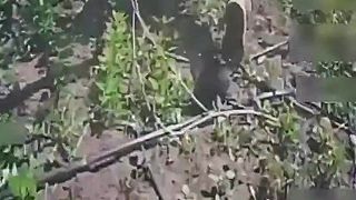 Okupant si naposledy dobre zabehal