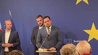 Konflikt českých europoslancov. Jeden Slovensko nenávidí, druhý si ho zastával