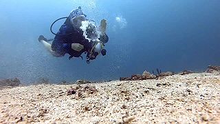 video S bublinkami to tento potápač rozhodne vie!