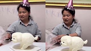 Číňanka dostala špeciálnu tortu - šteniatko