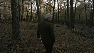 Hlas lesa trailer. Poľovníctvo nie je o potrebe zabíjať. Je to životný štýl