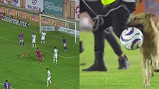 Ja vám ukážem ako sa hrá futbal!