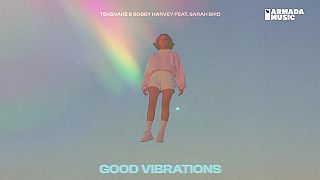 Tensnake & Bobby Harvey feat. Sarah Bird - Good Vibrations