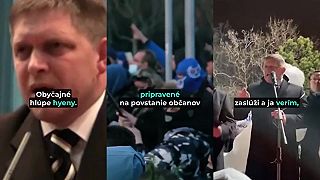 Politika v podaní Róberta Fica