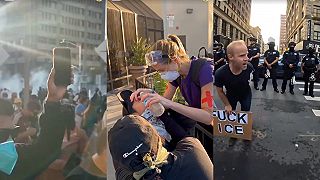 Modrý Zajačik Čo spôsobil Trumpeta