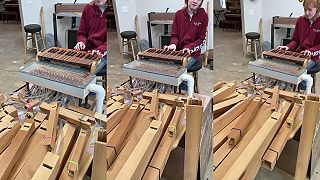 Pekný príklad, na akom princípe funguje organ