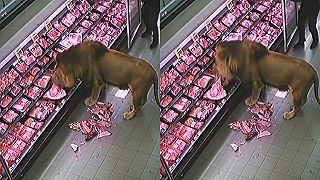Africká klasika v supermarkete