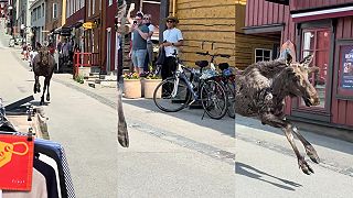 Medzičasom v nórskom meste Røros