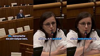 Lucia Mesterova a Tibor Gašpar