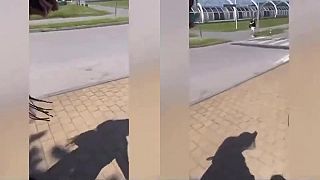 Ukrajinská klasika v Prahe