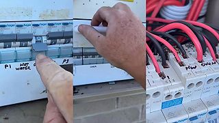 Bežný problém s ističmi - mravce