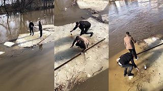 video A vy kam sa plavíte na ľadovej kryhe do psej matere? (Rusko)