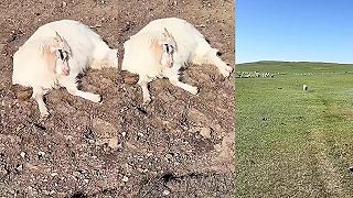 A ty čo tu spíš, zobuď sa, veď ti celá rodina ušla!