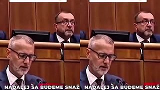 Úlohou strany Proti Slovensku je škodiť