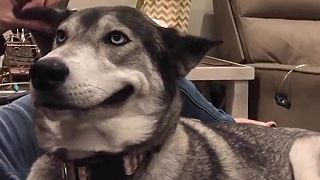 Ale veď pokračuj, čo robíš?