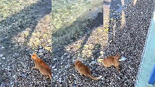 Keď mi nedáte žrať, niečo musím vymyslieť