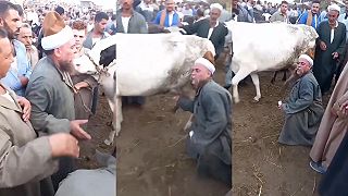 Ty sa budeš so mnou hádať? Ťa vyšpricujem mliekom!