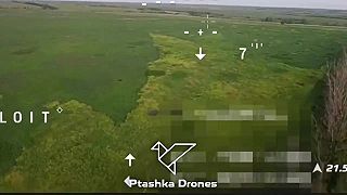 Vojna dronov: Vrhač sietí