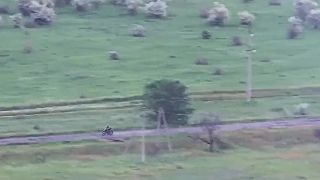 Brat za Brata vs Magyar birds