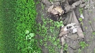Ruské jednorázovky lemujú ukrajinské polia