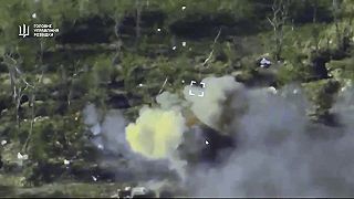 Operácia "Dronocide"