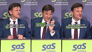 Alojz Hlina o štátnom dreve