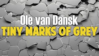 Ole van Dansk - Tiny Marks Of Grey