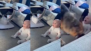 Láska na prvé oňuchanie