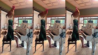 Ja a môj kohút vám prajeme dobré ránko!