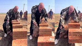 Keď potrebuješ z tehiel vyrobiť obklad, tento chlap by sa ti zišiel