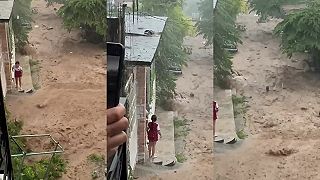 video Malý kamikadze pes šantí v prúde vody, ktorý vyvolali prívalové dažde