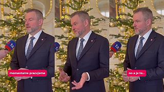 Vzniká nová dátová apilikácia