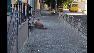 Ruské safari na civilistov #14
