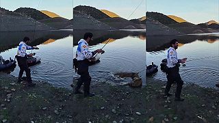 Do líščej matere!