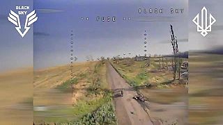 "Black Sky" likvidujú invázny druh