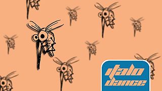 Well Fly Away Dee Bee