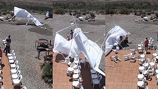 Stan sa premenil na osemnohé monštrum