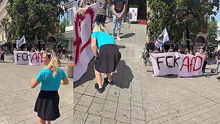 Ako zabrániť premnožovaniu liberálnych fašistov