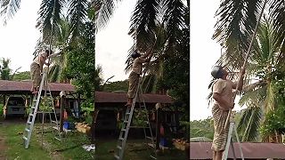 video Helmu proti kokosom si síce dal, ale aj tak to nepomohlo