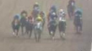 Jockey Fight