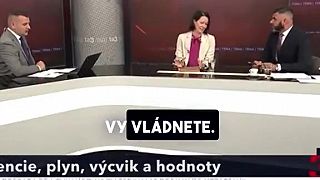 Ceny plynu z pohľadu koalície